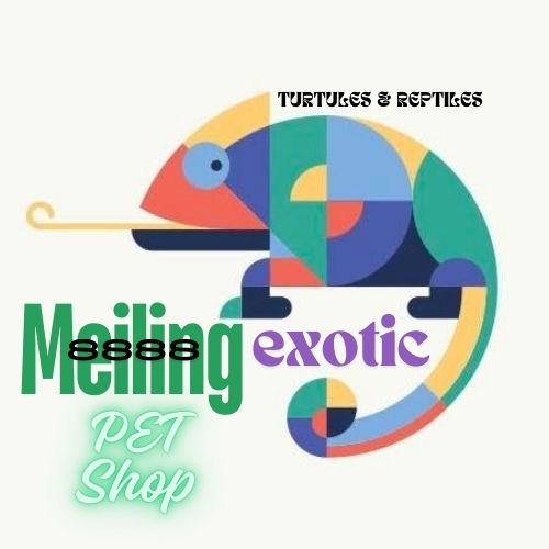 logo pet shop