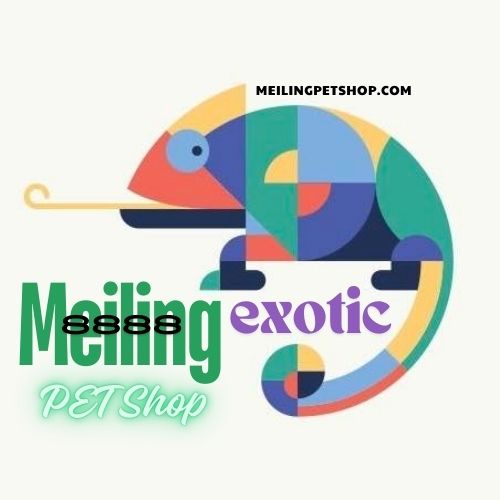 meilingpetshop